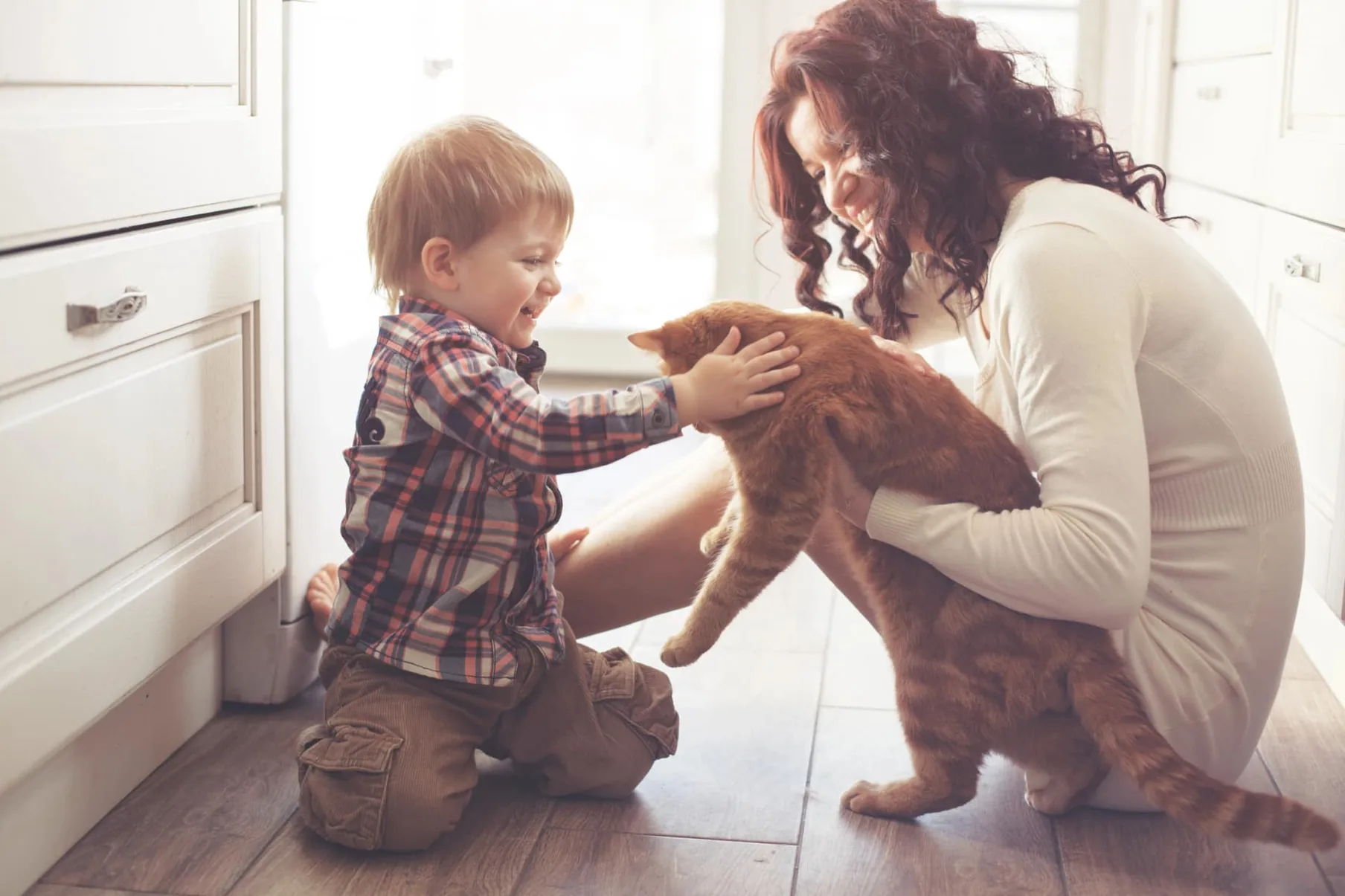 A mother and her young son playing with the family cat in a bright kitchen.